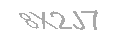 Güvenlik Kodu