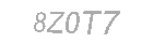 Güvenlik Kodu