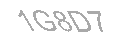Güvenlik Kodu