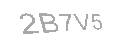 Güvenlik Kodu