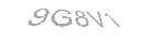 Güvenlik Kodu