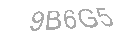Güvenlik Kodu
