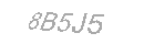 Güvenlik Kodu