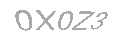 Güvenlik Kodu