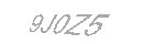 Güvenlik Kodu